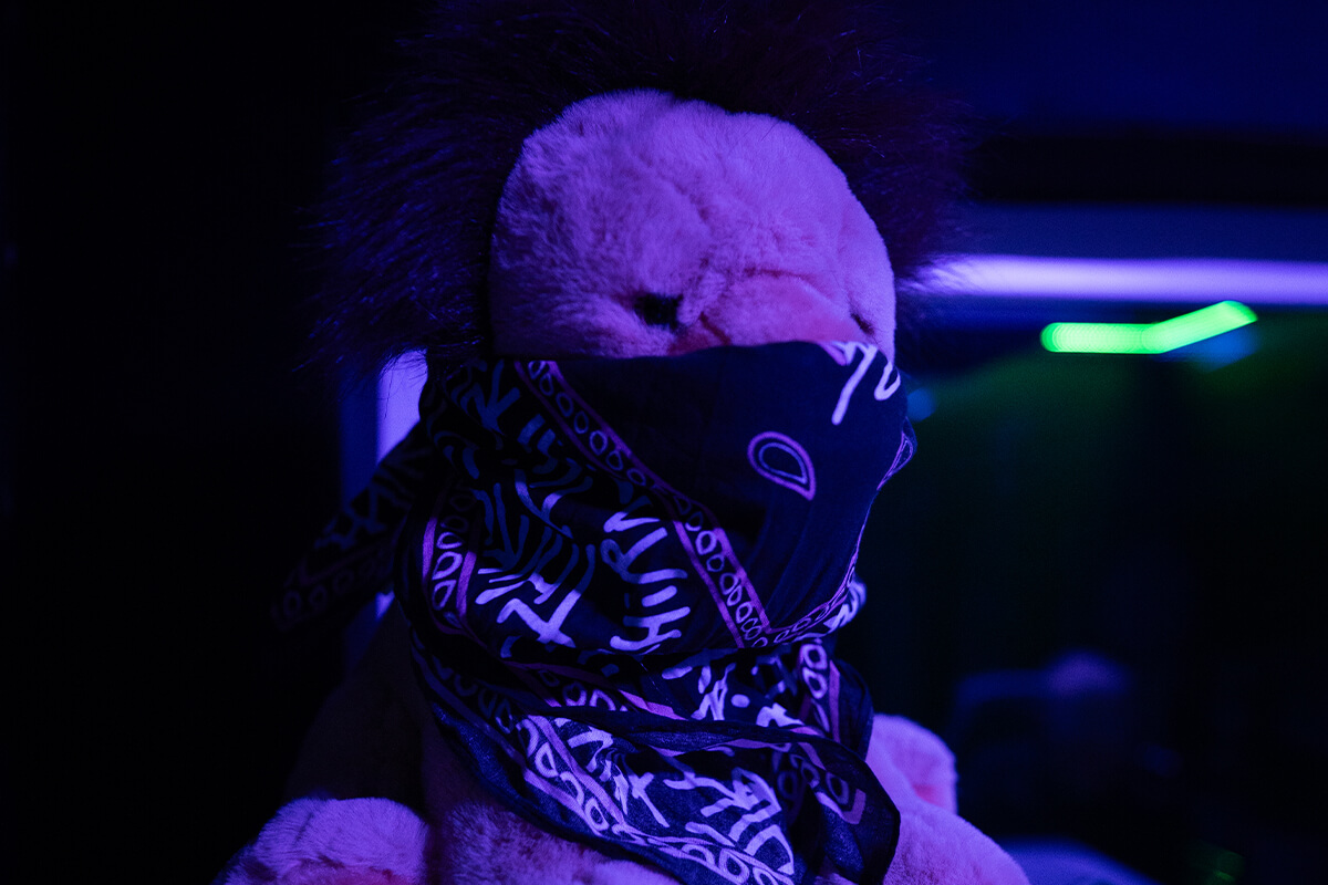 Białystok Studio - Zdjęcie lwa siedzącego na monitorze